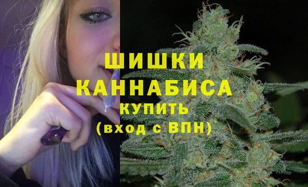 МДМА Ельня