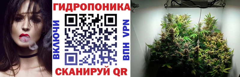 Купить  Кирсанов  Каннабис индика 